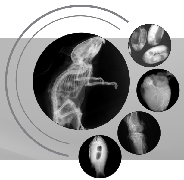 生命科學(xué)研究、小動(dòng)物、種子檢測(cè)